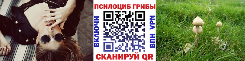 дарк нет официальный сайт  Краснокамск  Галлюциногенные грибы мухоморы 