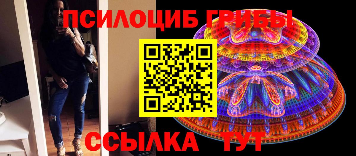 Краснокамск  Псилоцибиновые грибы MAGIC MUSHROOMS  Вход с VPN 